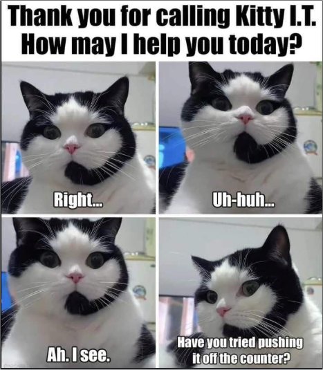 caturday  majorgeeks.jpg